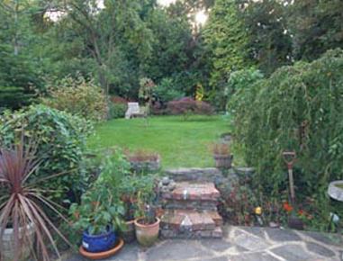 The studio garden